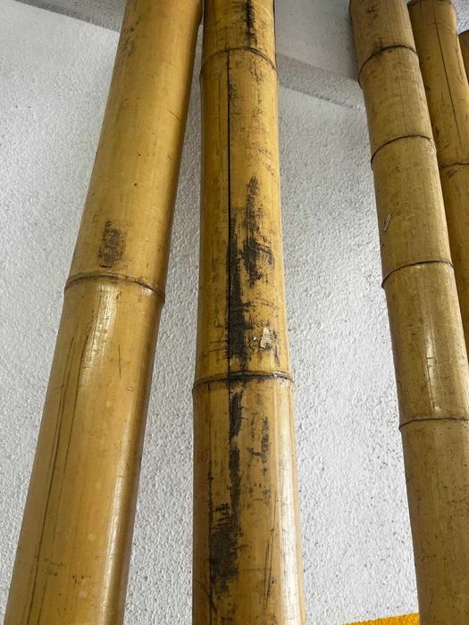 6 postes de bambu em ótimo estado (240 cm / 10 cm)
