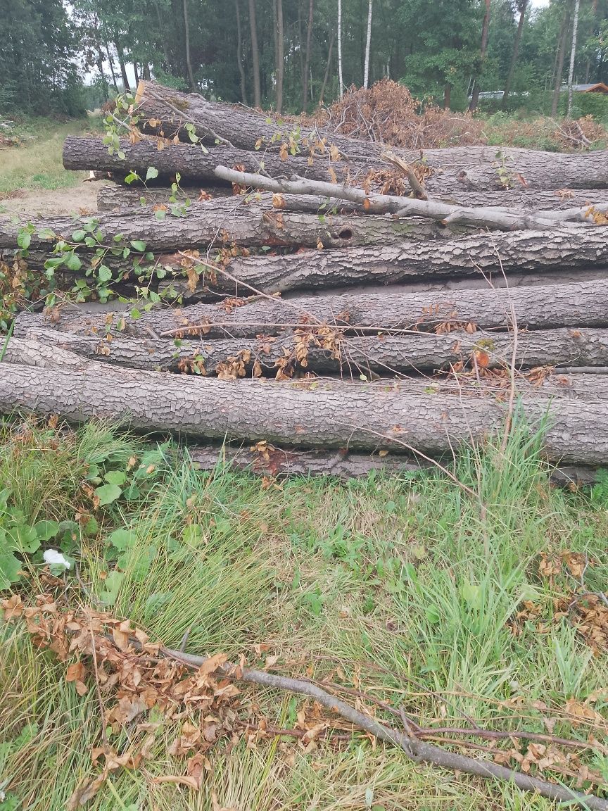 Sprzedam Drzewo opałowe
