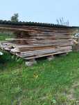 Tarcica jesionowa