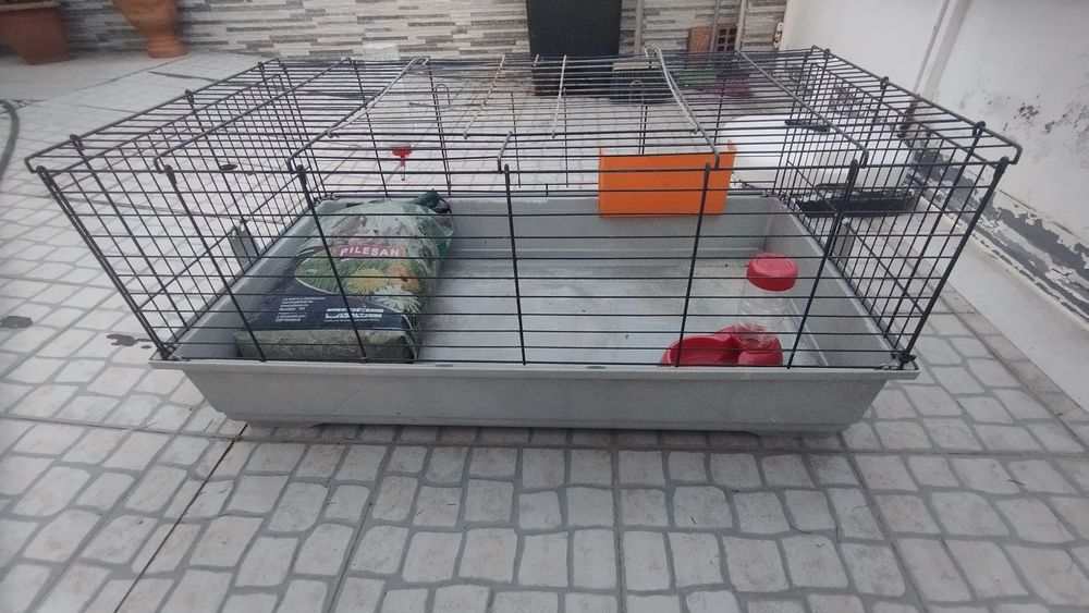 Gaiola para coelho / roedores