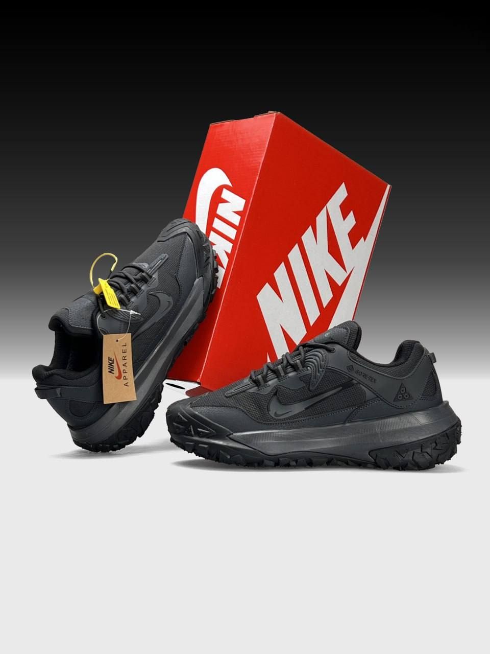 Повсякдені Чоловічі Зимові кросівки Nike ACG Mountain Fly 2 Gore-Tex