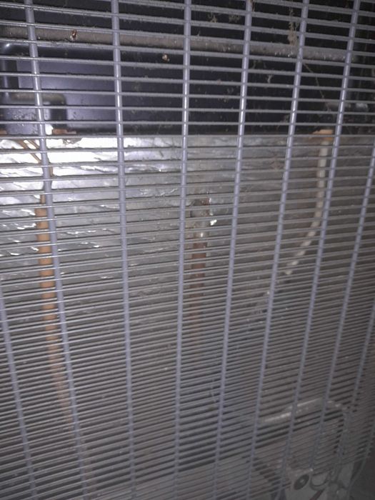 ХОЛОДИЛЬНИК ДОНБАСС-214 (Требуется замена реле)