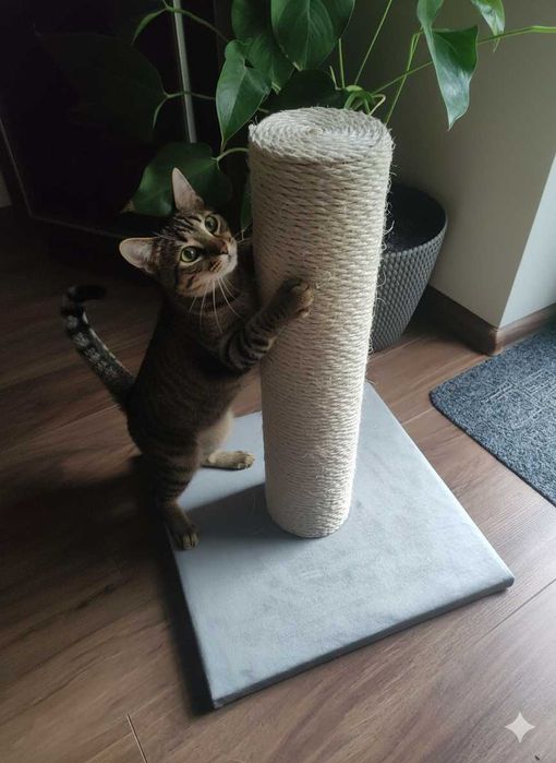 Drapak dla kota gruby fi 12  sizal 6mm wieża