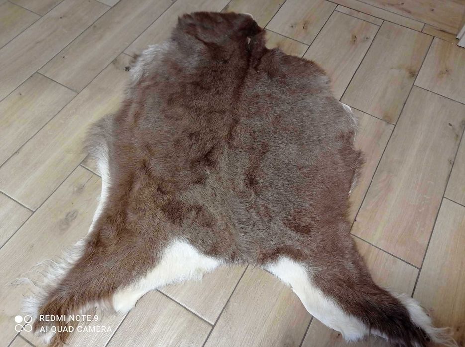 Dywan Skóra z kozy beżowo-brązowa