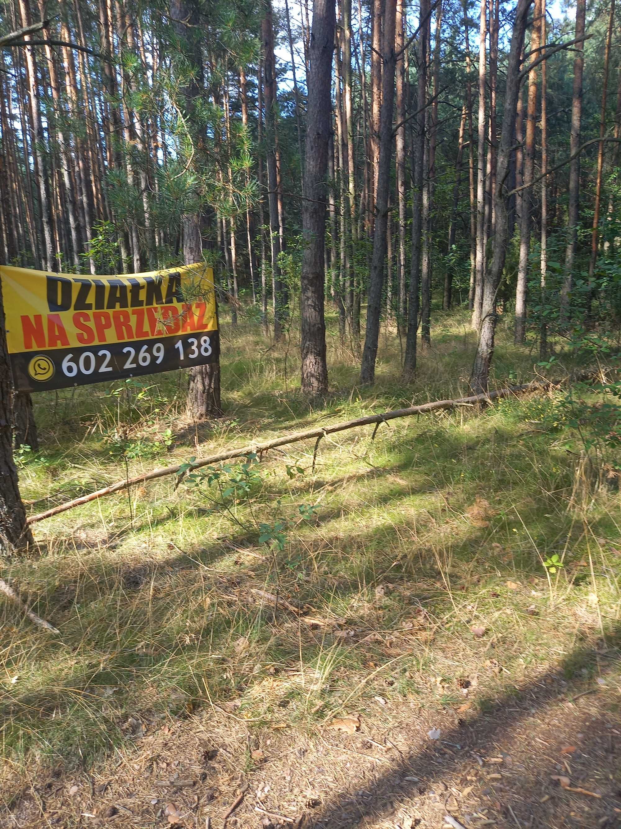 Sprzedam działkę leśną w Broku ul. Żurawieniec 6800mkw