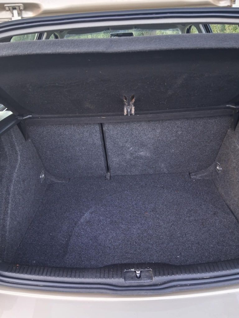 Volkswagen Golf IV