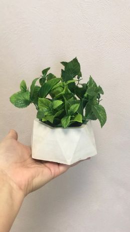 Vaso decorativo de plantas
