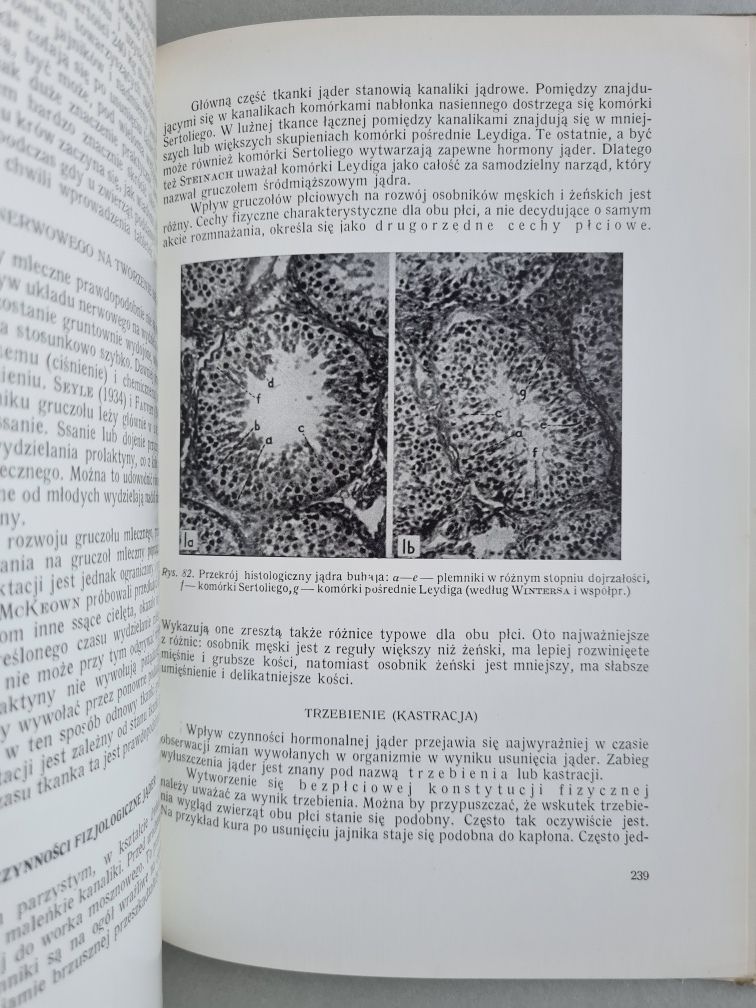 Witaminy, hormony i antybiotyki w hodowli zwierząt - Harald Tangl