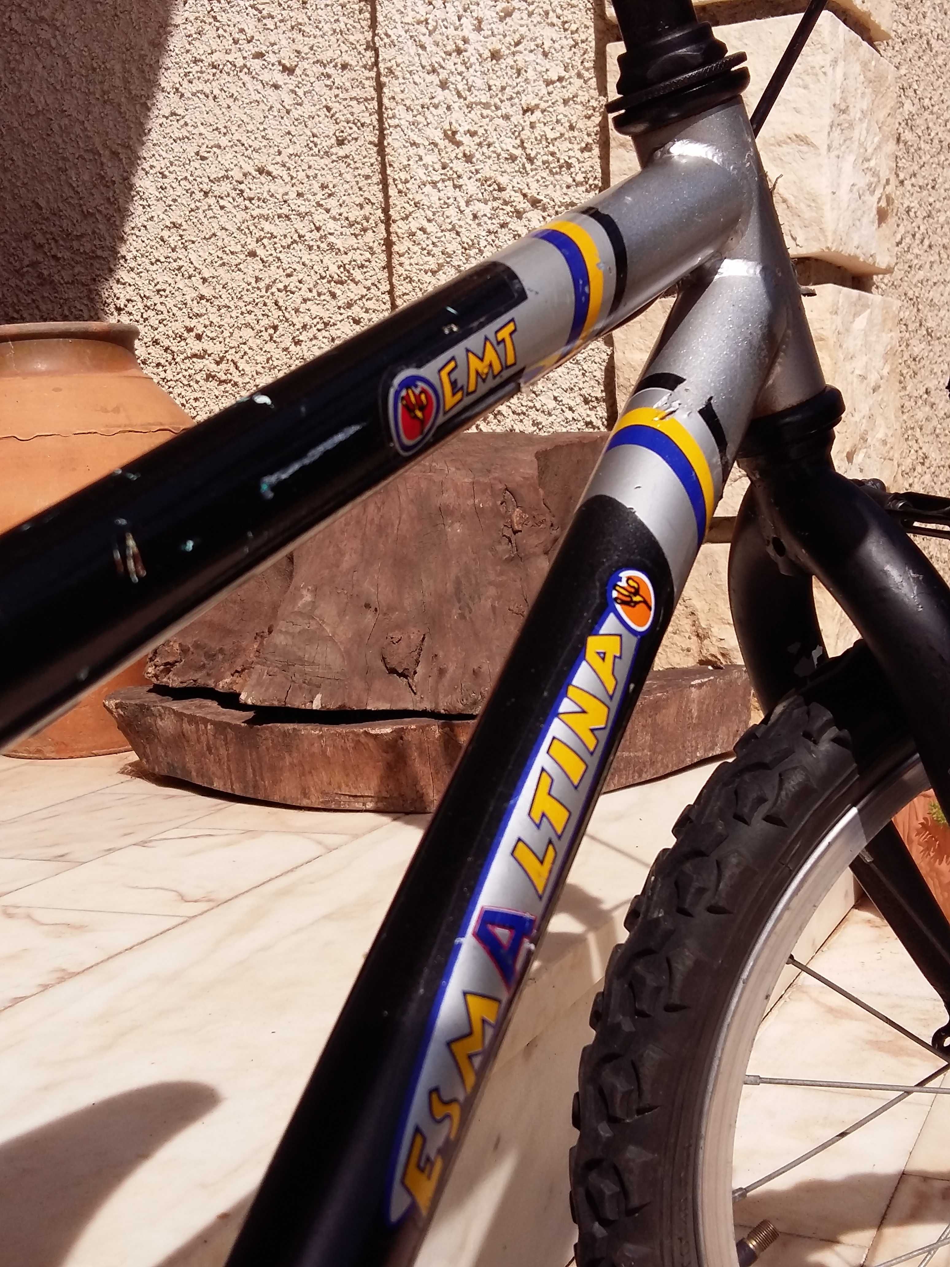 Bicicleta de Criança - Esmaltina
