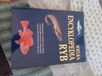 Encyklopedia ryb