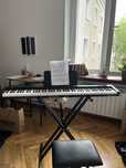 Keyboard (pianino) DNA profeesional 88 zestaw