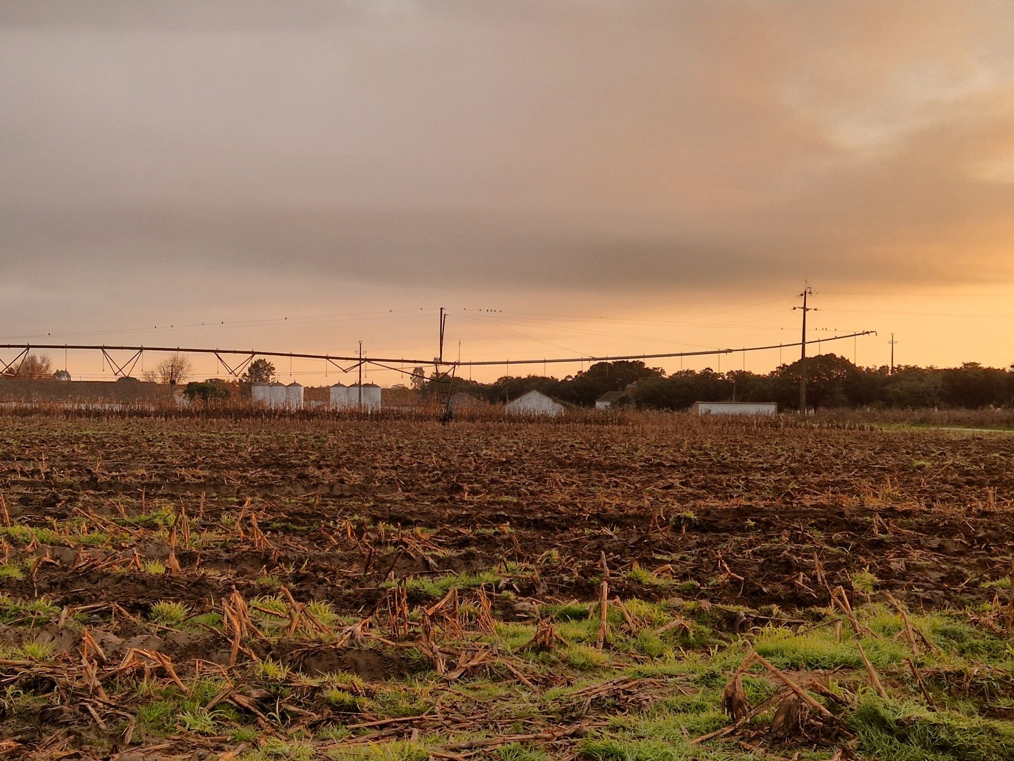 PIVOTS  VAllEY  16h  4 Torres