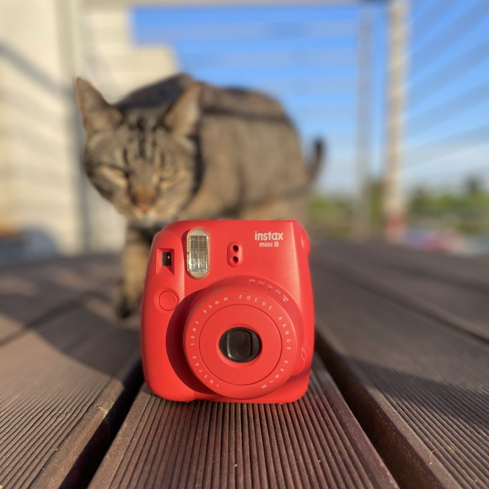 Fujifilm Instax Mini 8 | czerwony / malinowy