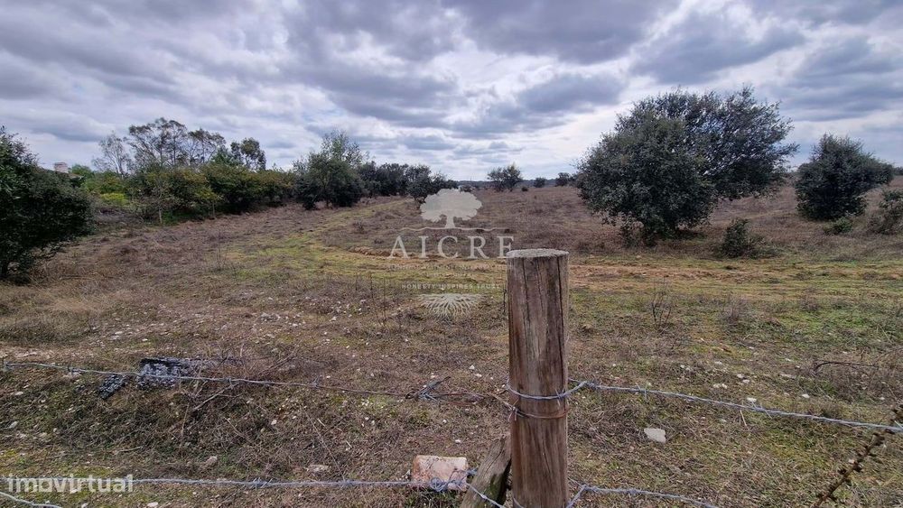 Terreno Não Construtivo