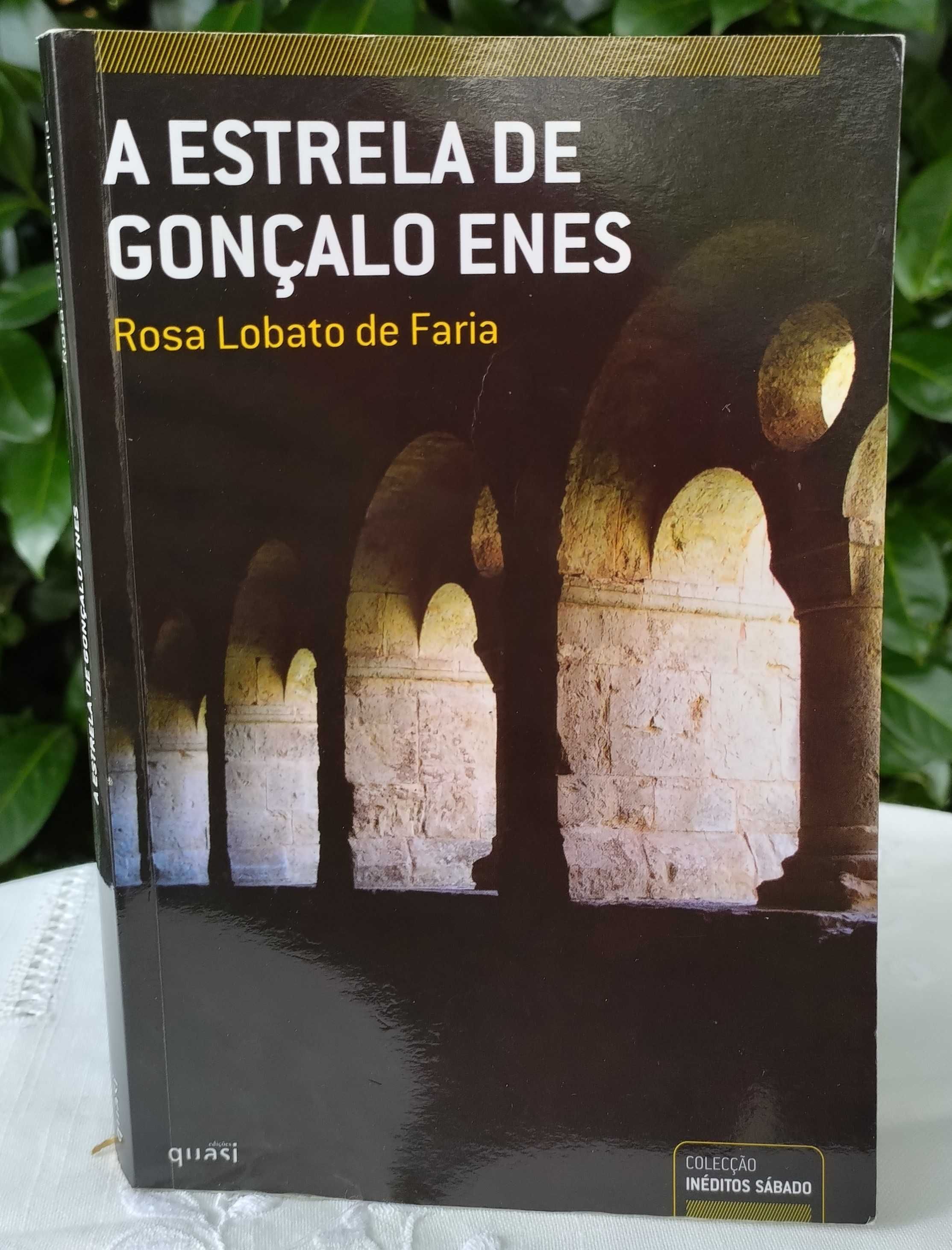 A Estrela de Gonçalo Enes (Rosa Lobato de Faria)