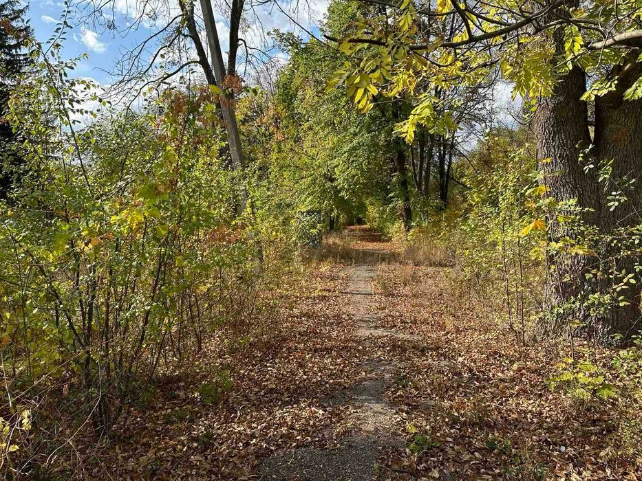 Продам бывший детский лагерь в центре пгт. Высокий