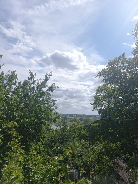Wynajem domku jednorodzinnego