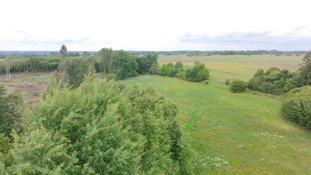 Działka siedliskowa w Wiele 1,72 ha, z wydanymi warunkami zabudowy.