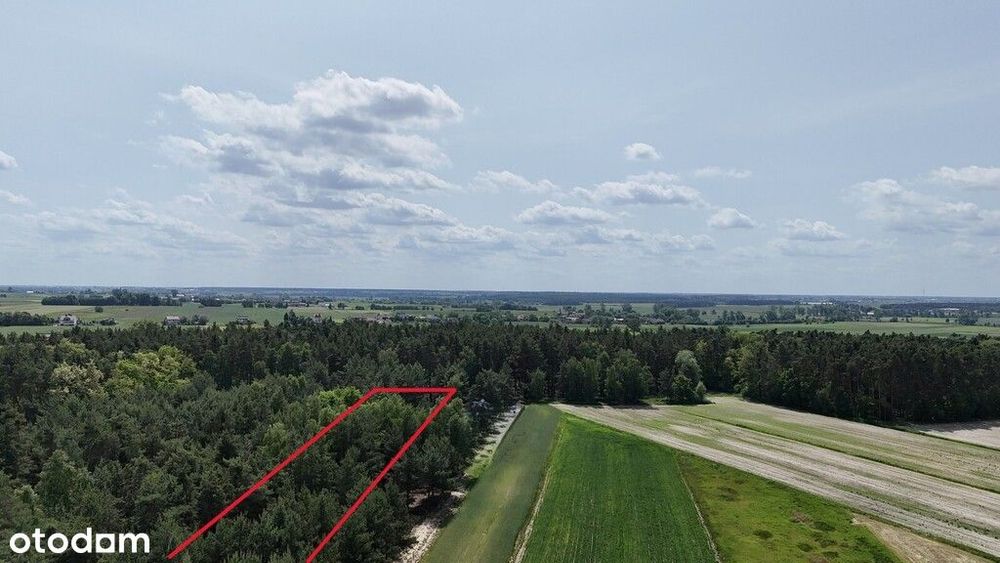 Działka budowlana z lasem - Janków Drugi