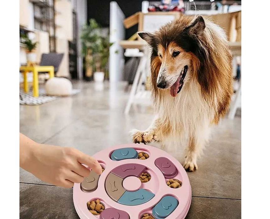 Zabawka dla Psa Kota na Przysmaki Spowalniająca Jedzenie