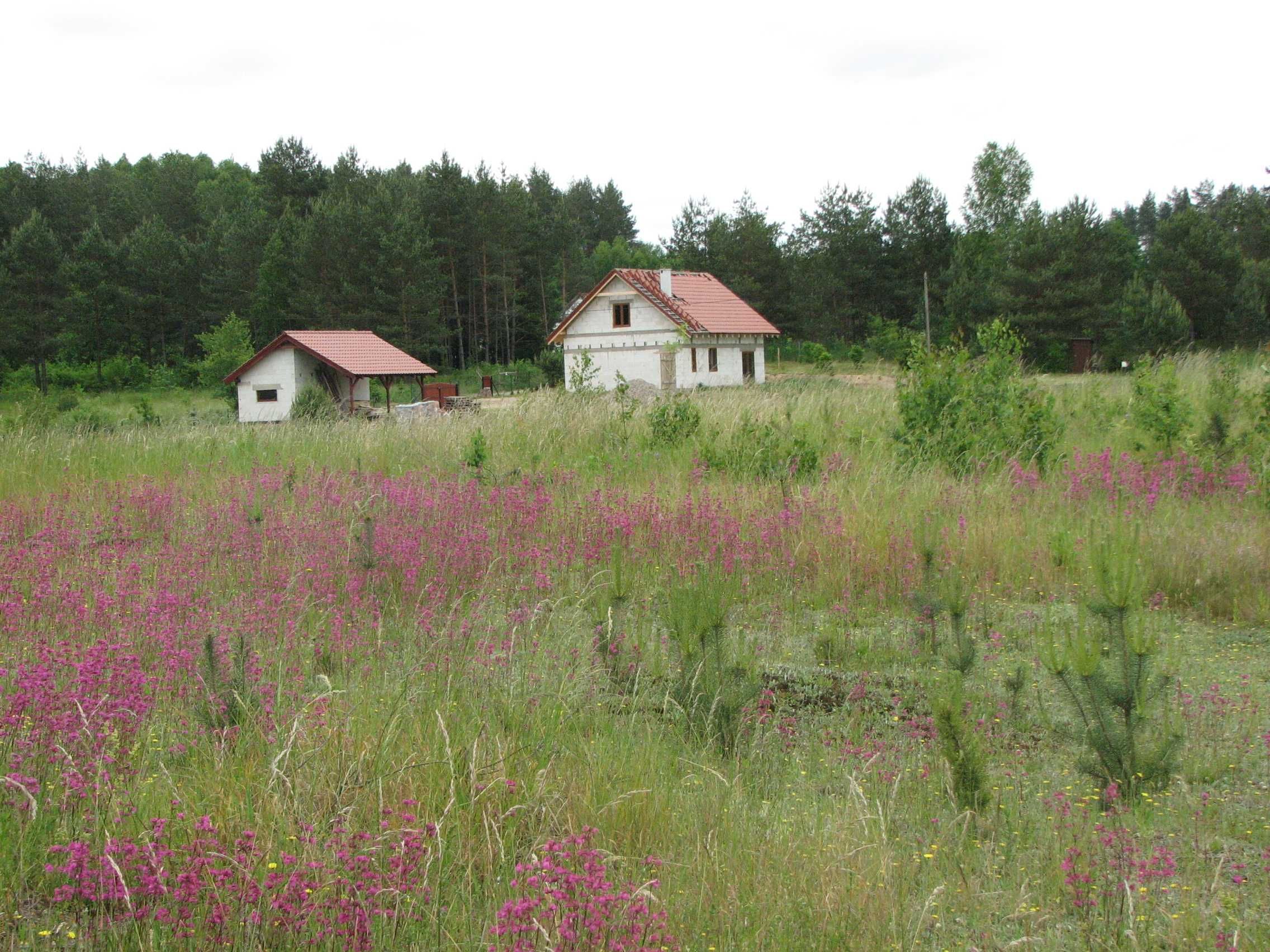 Działka bud. z WZ - Łapka gm. Barczewo