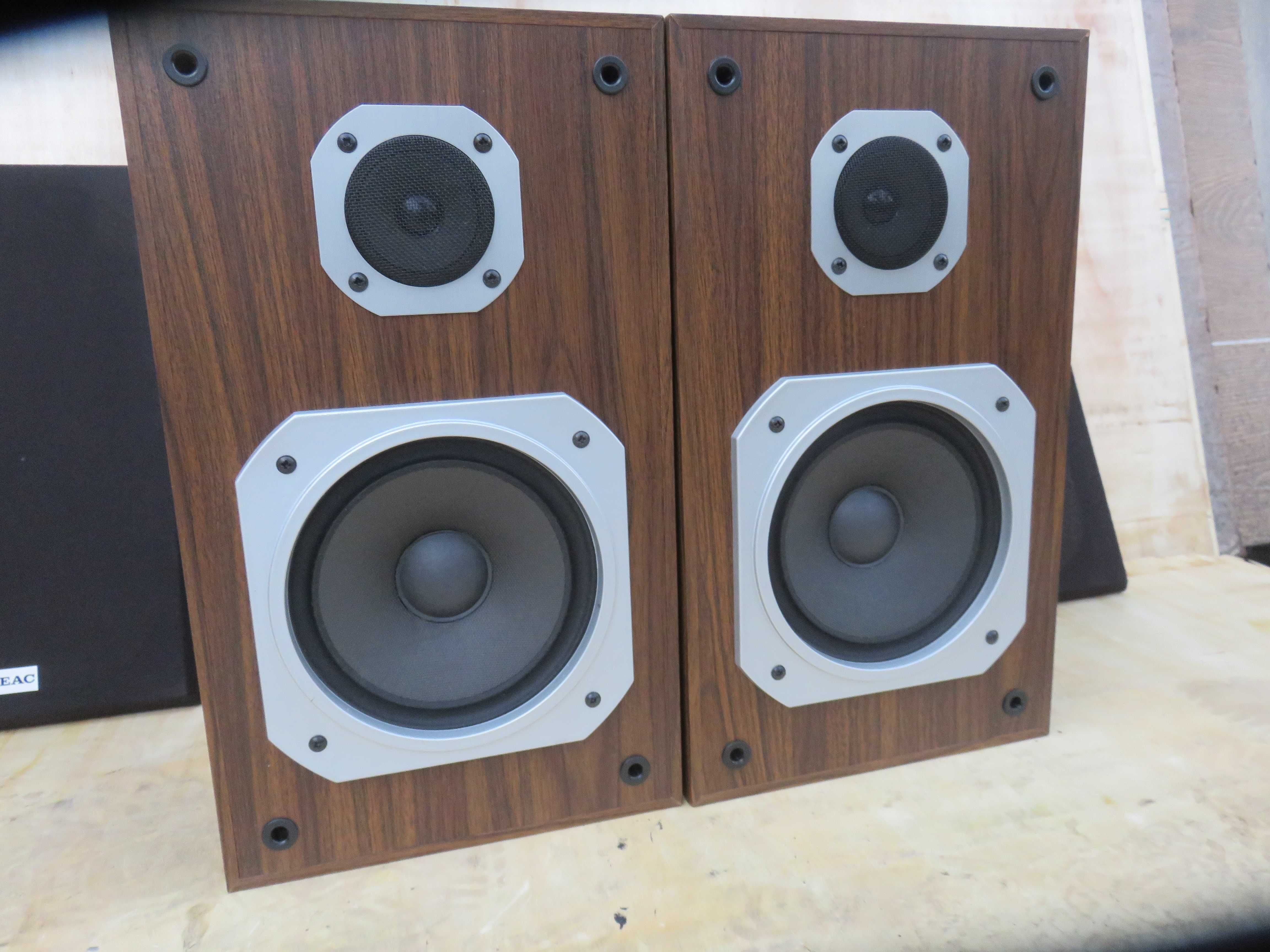 Kolumny monitory Teac S-1