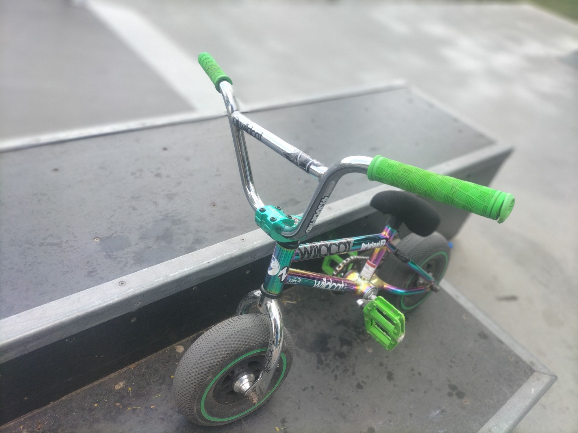 Mini BMX wildcat rainbow