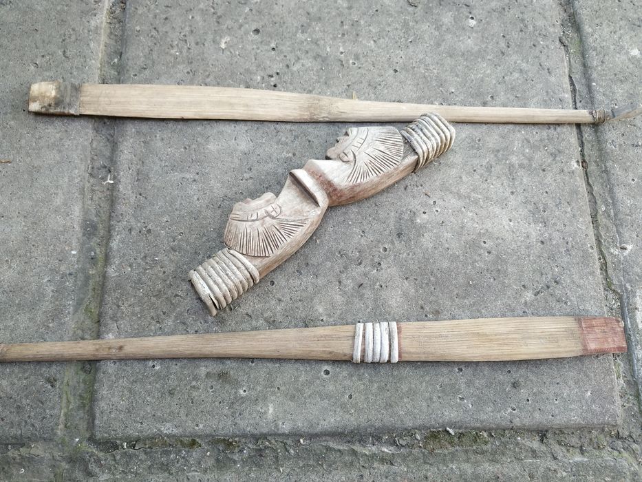 Лук декоративный