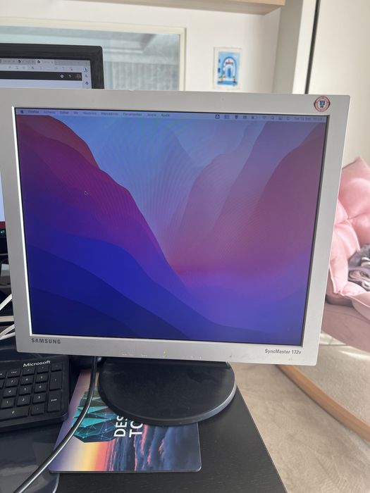 Monitor Samsung SyncMaster 172v