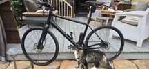 Rower Canyon Commuter Urban U13 rozmiar L