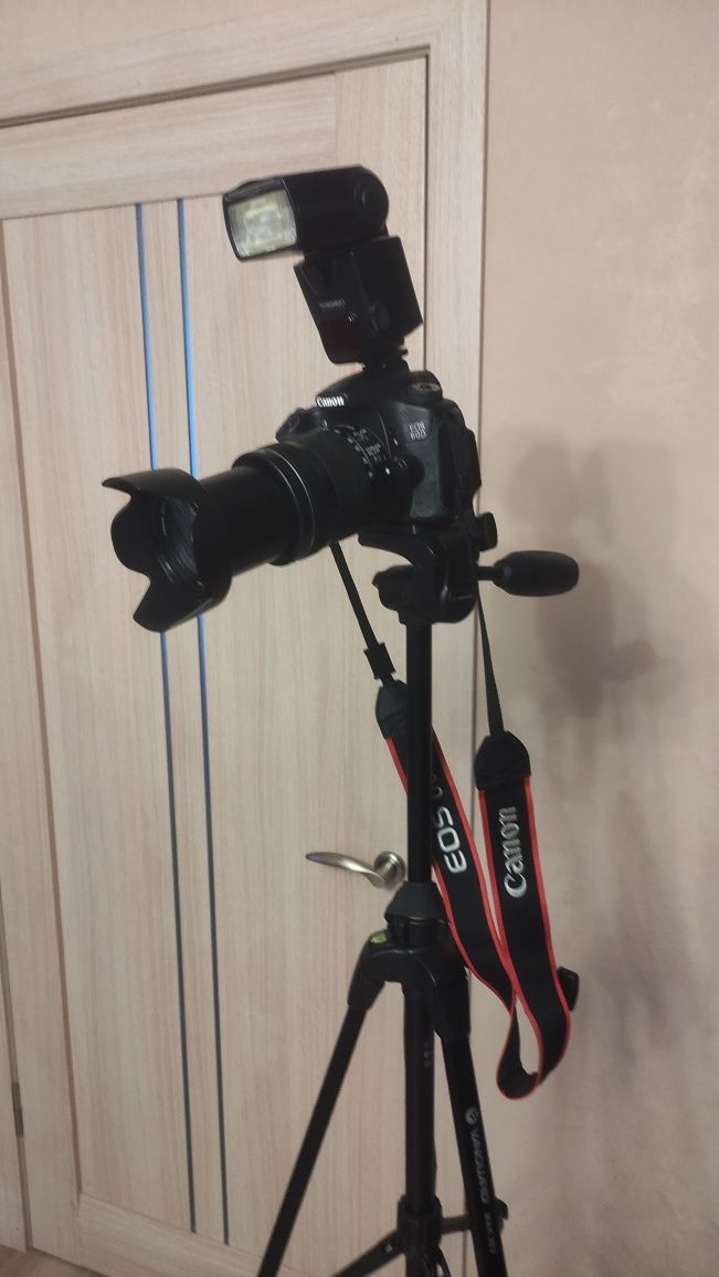 Фотоаппарат Canon 60D, объектив Canon18-135 STM, вспышкаYN500, тринога