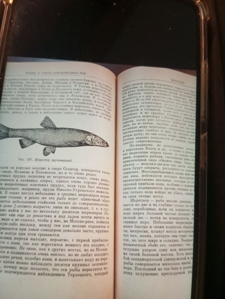 Книга. Сабанеев.
