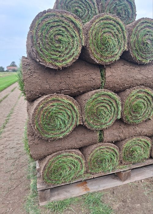 Kombajn do trawy w rolkach Brouwer Robomax JD