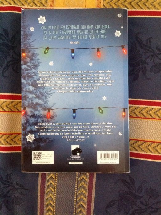 livro "quando a neve cai"