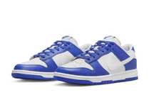 Nike DUNK Low Kentucky Alternate / FN3416–001