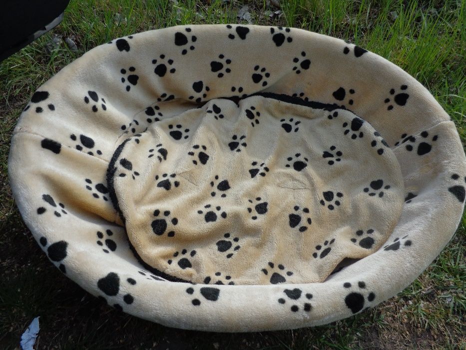 Duże spanie dla Psa