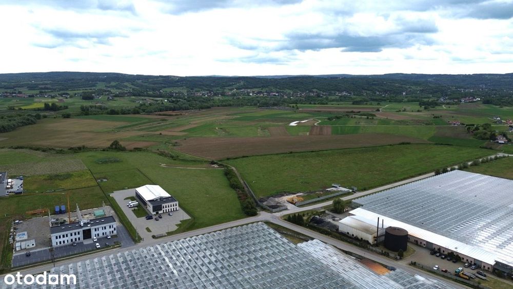 Działka pod halę, magazyn blisko S19