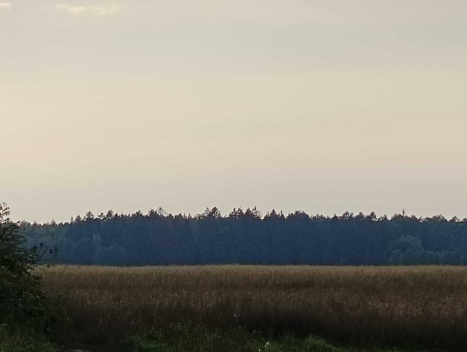 Ostatnia taka działka w Krosinie! Piękna droga, media, spokój i cisza