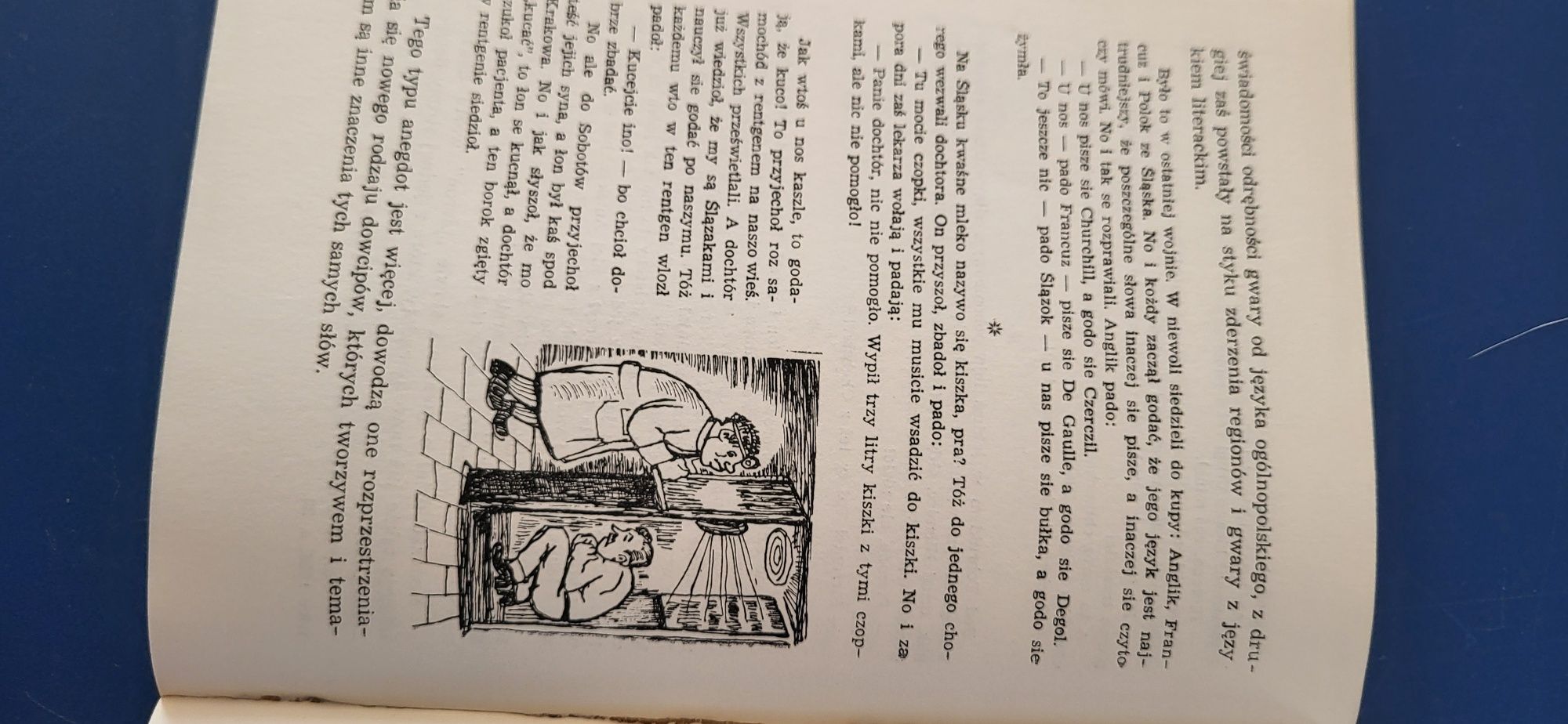 Bery to nie tylko gruszki czyli rzecz o humorze śląskim