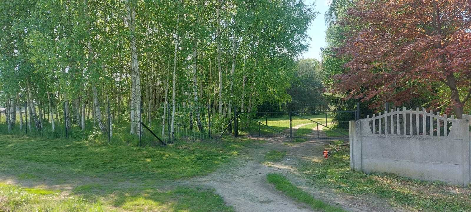 Domek Letniskowy Całoroczny Sosnowa Polana