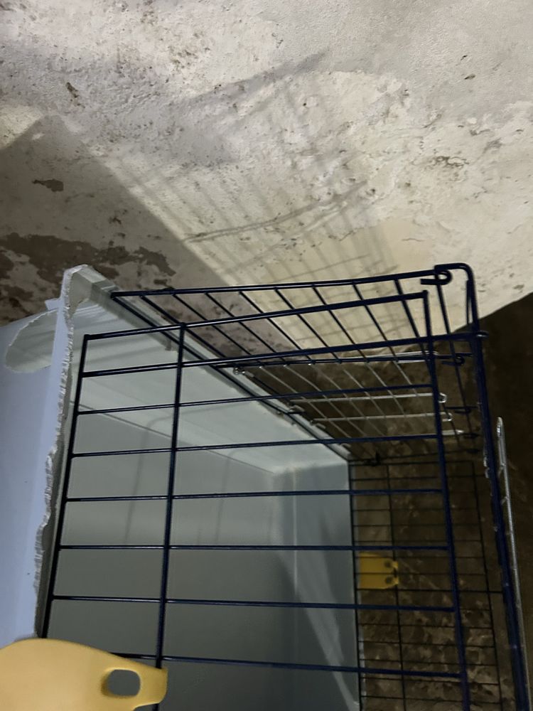 Casota animal grande