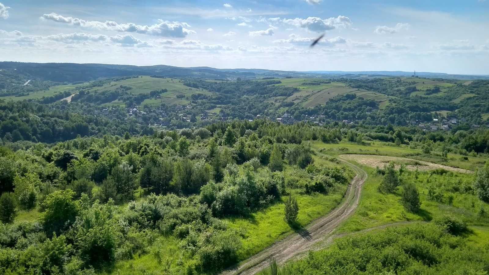 Miód z terenów leśnych świeży własna pasieka