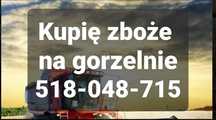 Owies żyto pszenica jęczmien mieszanka pszenżyto