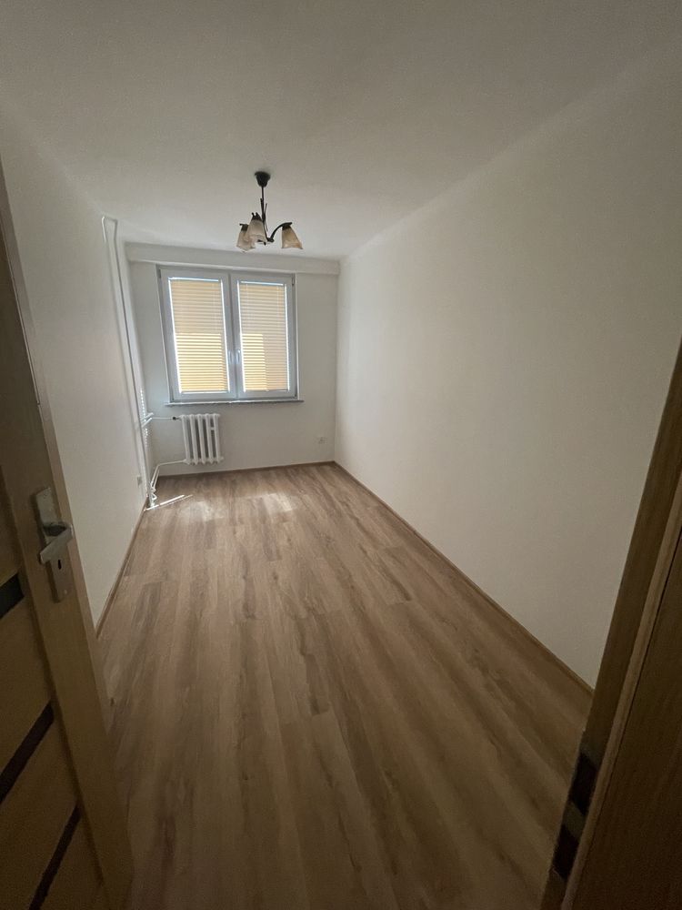 Mieszkanie do wynajecia po zupełnym remoncie