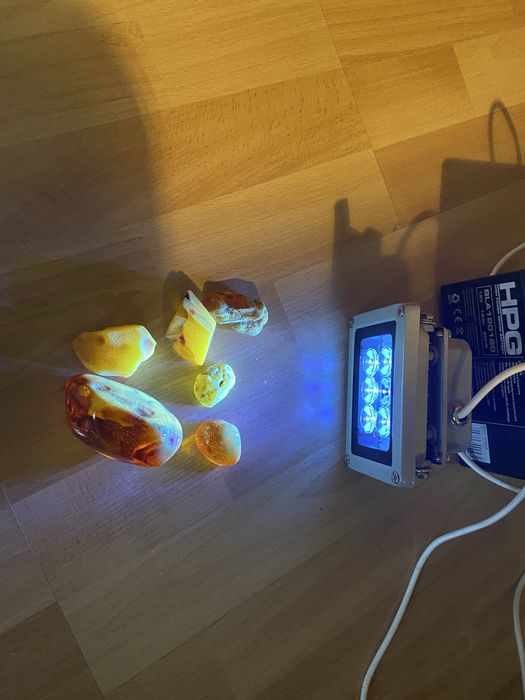 Mocna Lampa do bursztynu Naświetlacz UV 12W LED zasilanie 12V