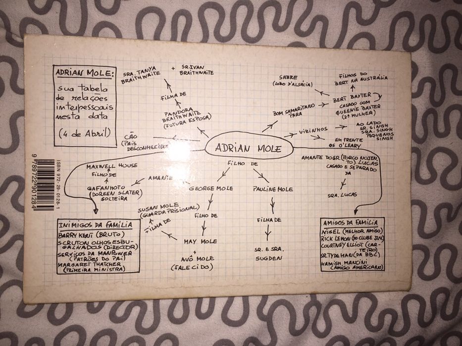 Adrian Mole na Crise da Adolescência