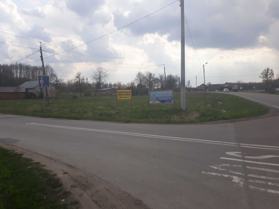 Ferma drobiu w Żarówce - Sprzedam brojlery, kurczaki