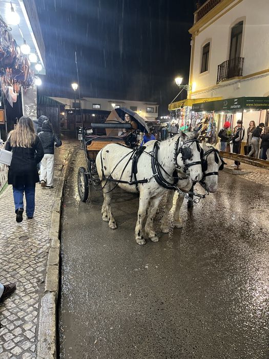 Poneis parelha mini cavalos