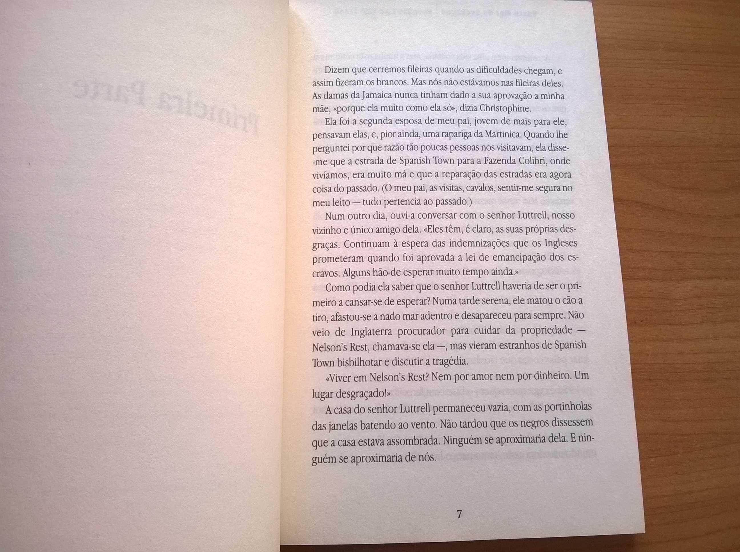 Vasto Mar de Sargaços - Jean Rhys