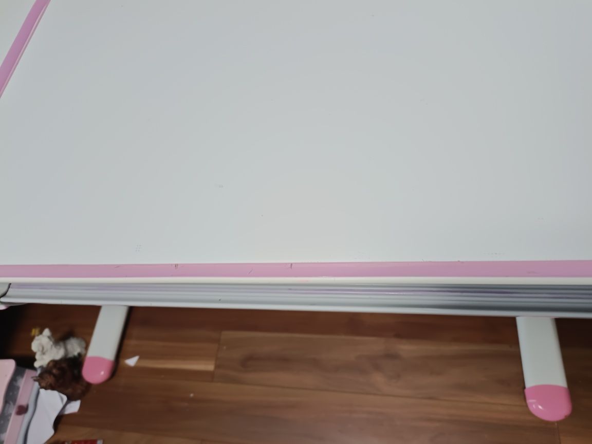 Ergonomiczne biurko Fun Desk  (5-16 lat ) plus krzesło